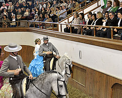 EEspecáculo 'Como bailan los caballos andaluces'
