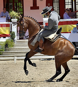 Doma Vaquera