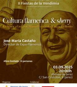 Cartel cultura flamenca