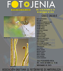 Pescadería 1